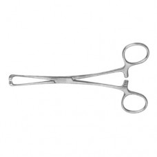 Steinmann Tendon Holding Forcep Stainless Steel, 15 cm - 6"